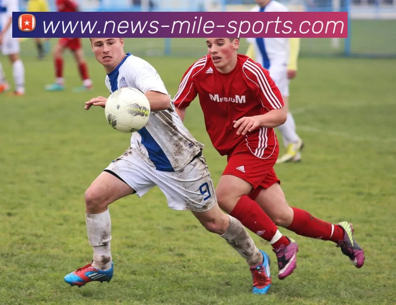 App Interface Preview